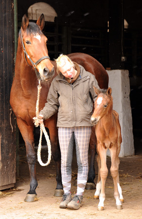 Trakehner Filly by Oliver Twist out of Premiummare Karena by Freudenfest - Foto: Beate Langels, Trakehner Gestt Hmelschenburg