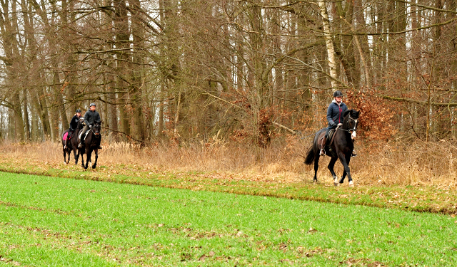 21. Mrz 2021 - Foto: Beate Langels - 
Trakehner Gestt Hmelschenburg