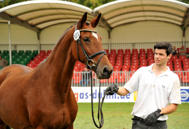 Pr.u.StPrSt. Karena v. Freudenfest u.d. Pr.u.ESt. Kalmar v. Exclusiv, Foto: Beate Langels