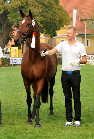 Pr.u.StPrSt. Karena v. Freudenfest u.d. Pr.u.ESt. Kalmar v. Exclusiv, Foto: Beate Langels