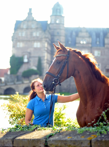 Oldenburger Stute BE FAIR von Symont u.d. Beloved v. Kostolany - Foto: Beate Langels - Trakehner Gestt Hmelschenburg