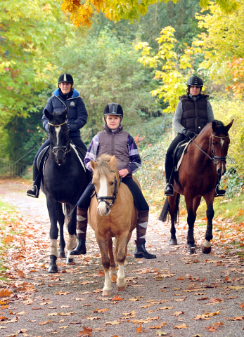 Ausritt mit Kitty, Apollo und Cinya 21.10.2015  - Foto Beate Langels - Trakehner Gestt Hmelschenburg