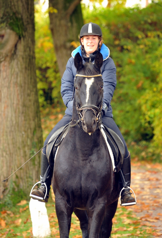 Apollo und Sophie - 21.10.2015  - Foto Beate Langels - Trakehner Gestt Hmelschenburg