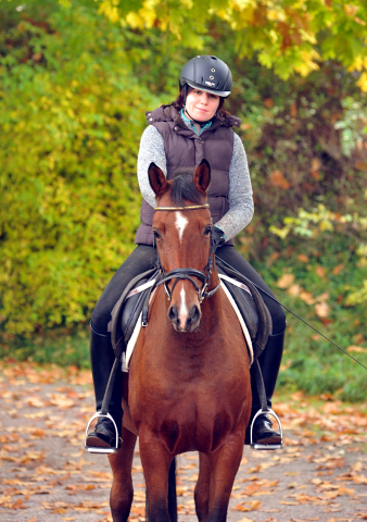 Kitty und Franziska 21.10.2015  - Foto Beate Langels - Trakehner Gestt Hmelschenburg