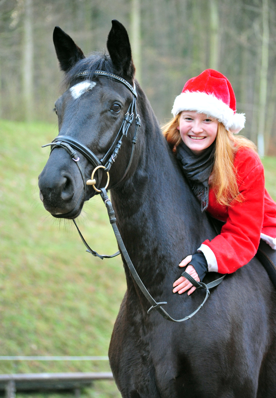 Ginger Rogers v. Symont und Knecht Ruprecht  - Foto: Beate Langels -  
Trakehner Gestt Hmelschenburg