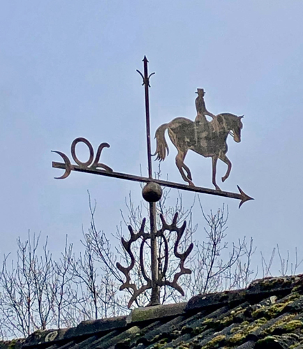 22.01.2022 in Hmelschenburg  - Foto: Beate Langels - Trakehner Gestt Hmelschenburg