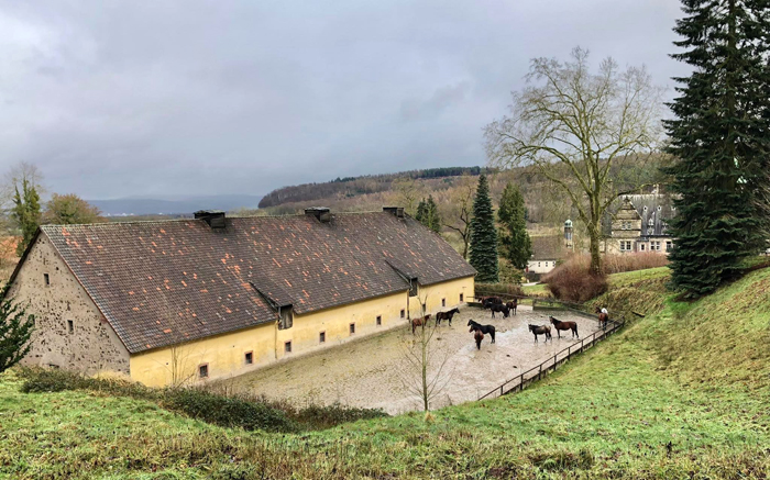 22.01.2022 in Hmelschenburg  - Foto: Beate Langels - Trakehner Gestt Hmelschenburg