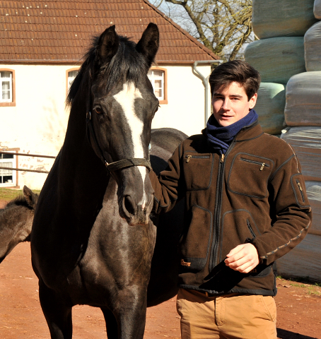 Carl und Pr.St. Greta Garbo v. Alter Fritz - Foto: Beate Langels - Trakehner Gestt Hmelschenburg