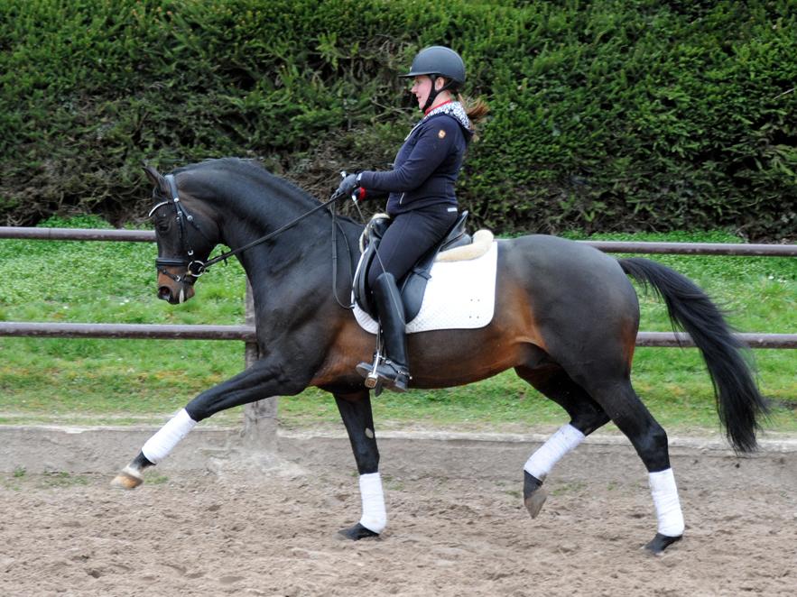 Impressionen - Mrz 2023 - Trakehner Gestt Hmelschenburg  - Foto: Beate Langels