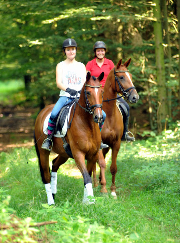 4jhrige Trakehner Stute Kitty von Freudenfest x Exclusiv - Foto: Beate Langels