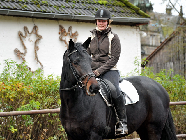 Oldenburger Hengst von Symont x Kostolany - Trakehner Gestt Hmelschenburg - Foto: Beate Langels