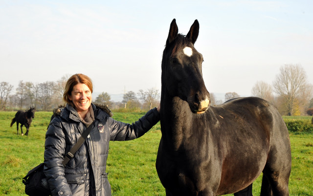 Zweijhriger Trakehner von Summertime u.d. Thirica v. Enrico Caruso - Foto: Beate Langels