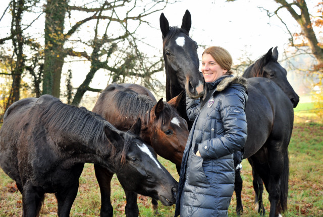 Zweijhriger Trakehner von Summertime u.d. Thirica v. Enrico Caruso - Foto: Beate Langels