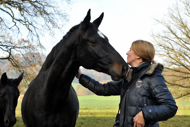 Zweijhriger Trakehner von Summertime u.d. Thirica v. Enrico Caruso - Foto: Beate Langels