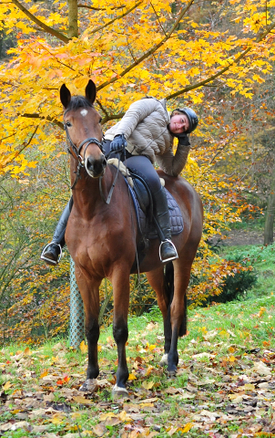 Kalena von Honor du Soir u.d. Karena im Gestt Schplitz im November 2019 - Foto: Beate Langels