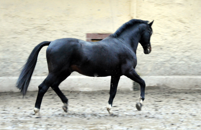 Exclusiv's 22. Geburtstag - Foto: Beate Langels