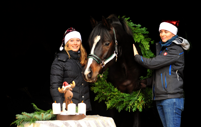 4. Advent 2019 Saint Cyr v. Kostolany in Hmelschenburg - Trakehner Gestt Hmelschenburg - Beate Langels