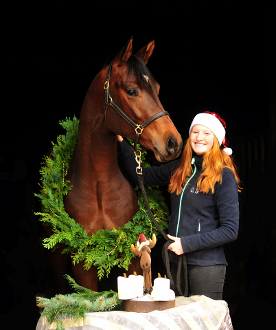 4. Advent 2019 Karakallis v. High Motion in Hmelschenburg - Trakehner Gestt Hmelschenburg - Beate Langels