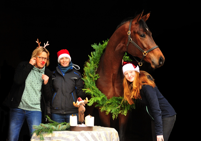 4. Advent 2019 Karakallis v. High Motion in Hmelschenburg - Trakehner Gestt Hmelschenburg - Beate Langels