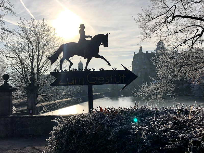 22. Dezember in Hmelschenburg 2021  - Foto: Beate Langels - Trakehner Gestt Hmelschenburg