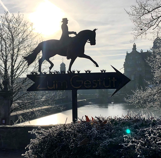 Impressionen vom Dezember 2021 - Trakehner Gestt Hmelschenburg  - Foto: Beate Langels