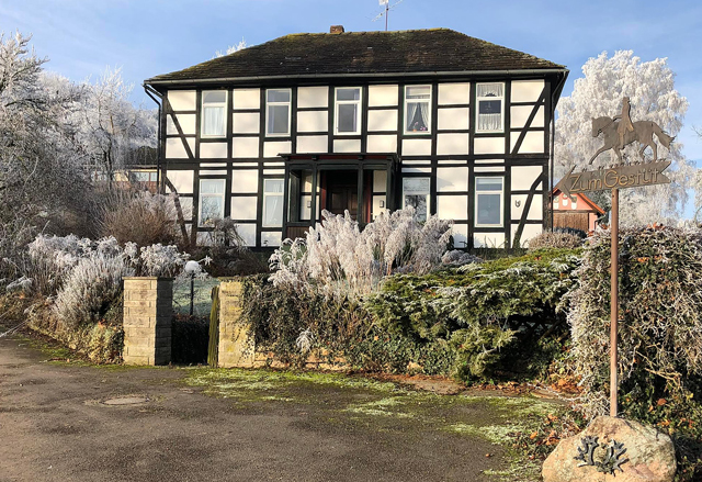 22. Dezember in Hmelschenburg 2021  - Foto: Beate Langels - Trakehner Gestt Hmelschenburg