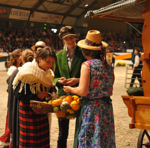 Wehlauer Pferdemarkt - Foto: Beate Langels, Trakehner Gestt Hmelschenburg