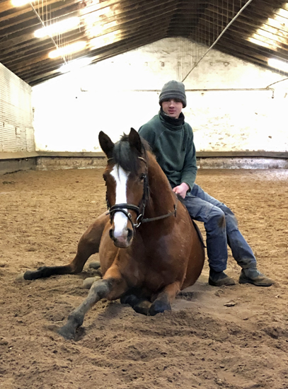 23.01.2022 in Hmelschenburg  - Foto: Beate Langels - Trakehner Gestt Hmelschenburg