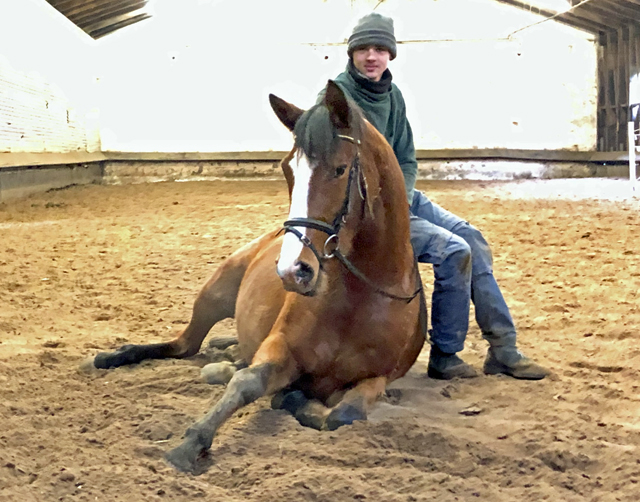 23.01.2022 in Hmelschenburg  - Foto: Beate Langels - Trakehner Gestt Hmelschenburg