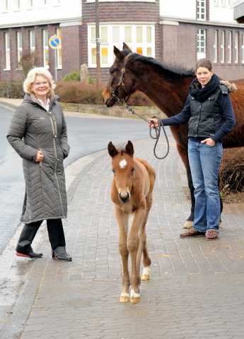 6 Tage alt: Stutfohlen von Honor du Soir u.d. Karena v. Freudenfest - 21. Februar 2016  - Foto: Barbara Jrn -
Trakehner Gestt Hmelschenburg