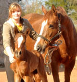 weinige Stunden alt: Stutfohlen von Singolo u.d. Prmienstute Klassic v Freudenfest - Trakehner Gestt Hmelschenburg