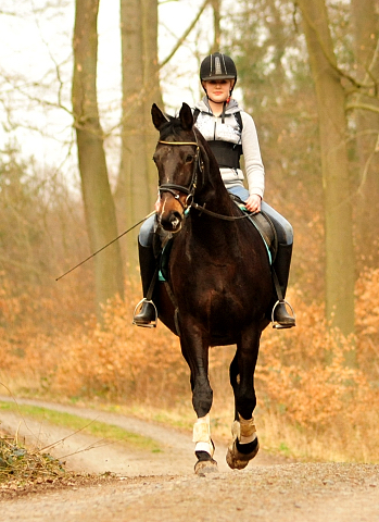 Ausritt mit Beloved  - Trakehner Gestt Hmelschenburg - Foto: Beate Langels