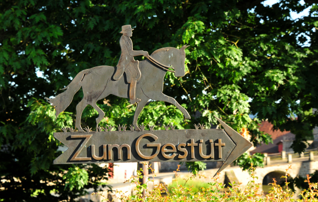 In den Emmerwiesen - Foto: Beate Langels - Trakehner Gestt Hmelschenburg