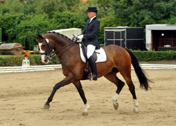 Gentle Giant von Alter Fritz u.d. Pr.St. Guendalina v. Red Patrick xx, Foto: Beate Langels Gestt Hmelschenburg