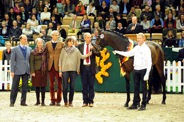 His Moment von Millenium - Le Rouge - Foto: Johanna Kraus - Trakehner Gestüt Hämelschenburg