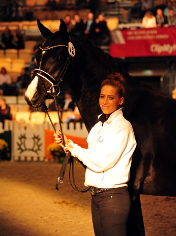 Grappa Nero von Imhotep u.d. Gracia Patricia v. Alter Fritz u.d. Elitestute Gloriette v. Kostolany - Foto: Beate Langels - 
Gestt Schplitz