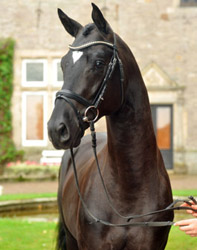 Tilly v. Leonidas - Enrico Caruso