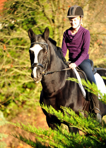 Alter Fritz und Pauline - Foto: Beate Langels - Trakehner Gestt Hmelschenburg