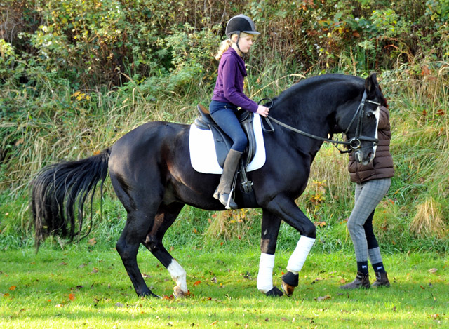 Alter Fritz und Pauline - Foto: Beate Langels - Trakehner Gestt Hmelschenburg