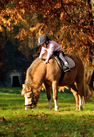 Cinja und Greta - Foto: Beate Langels - Trakehner Gestt Hmelschenburg