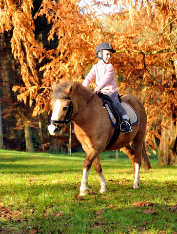 Cinja und Greta - Foto: Beate Langels - Trakehner Gestt Hmelschenburg