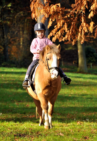 Cinja und Greta - Foto: Beate Langels - Trakehner Gestt Hmelschenburg