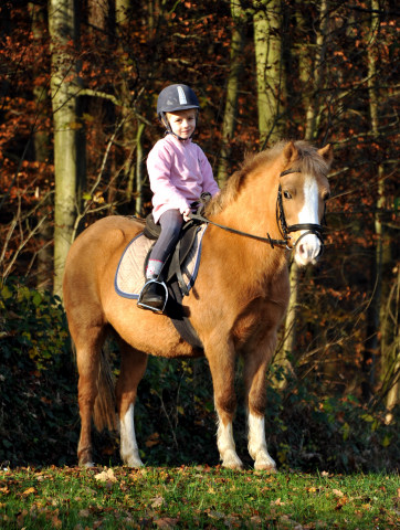 Cinja und Greta - Foto: Beate Langels - Trakehner Gestt Hmelschenburg