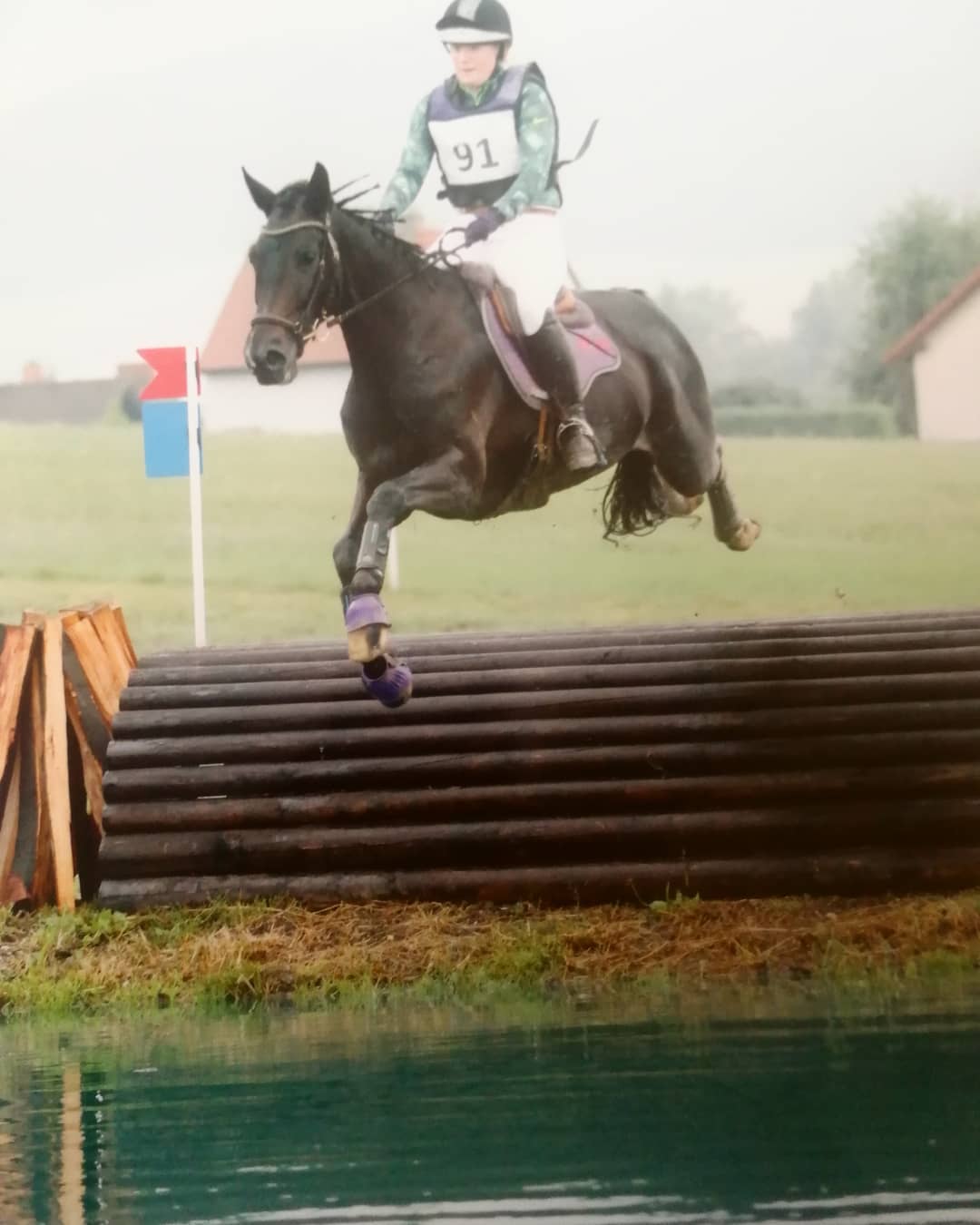 Trakehner Stute Kill it Kirina von Exclusiv x Bethel xx, Foto: Beate Langels, Trakehner Gestt Hmelschenburg