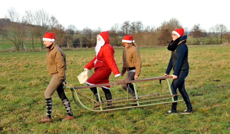 Weihnachtszeit im Trakehner Gestt Hmelschenburg - Foto: Beate Langels