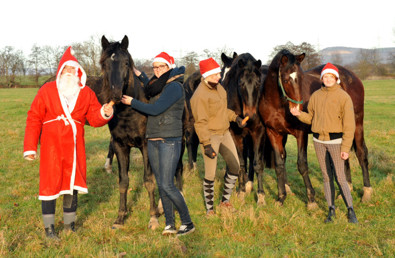 Weihnachtszeit im Trakehner Gestt Hmelschenburg - Foto: Beate Langels