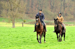 Savinelli und Kisangani - im Gestt Hmelschenburg - Foto Beate Langels