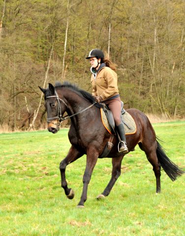 Savinelli und Luisa - im Gestt Hmelschenburg - Foto Beate Langels