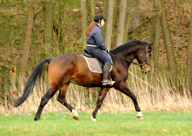 Jessica und Kisangani - im Gestt Hmelschenburg - Foto Beate Langels