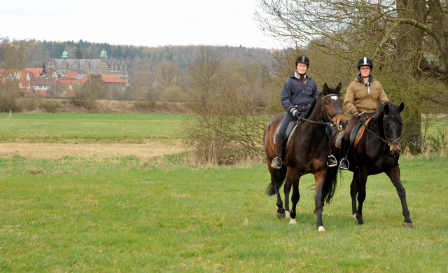 Savinelli und Kisangani - im Gestt Hmelschenburg - Foto Beate Langels